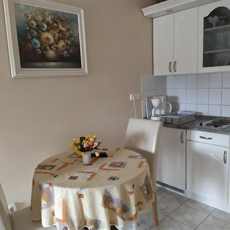 Ildiko Appertements *