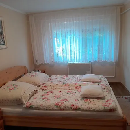 Ildiko Appertements *