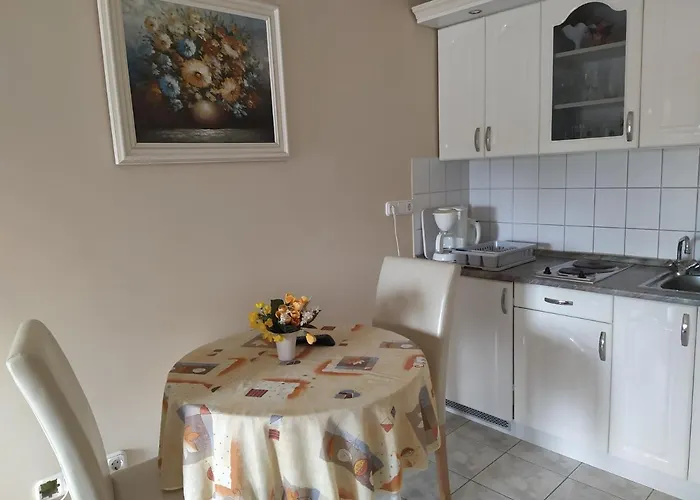 Ildiko Appertements *